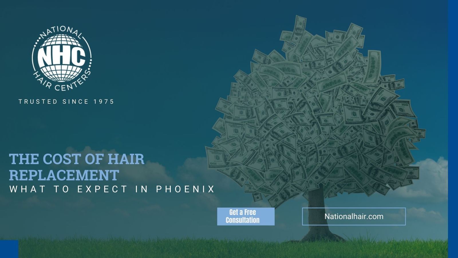 The Cost of Hair Replacement: What to Expect in Phoenix